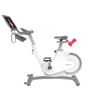 Купить Велотренажер Yesoul BV1-W PLUS в Кыштыме 